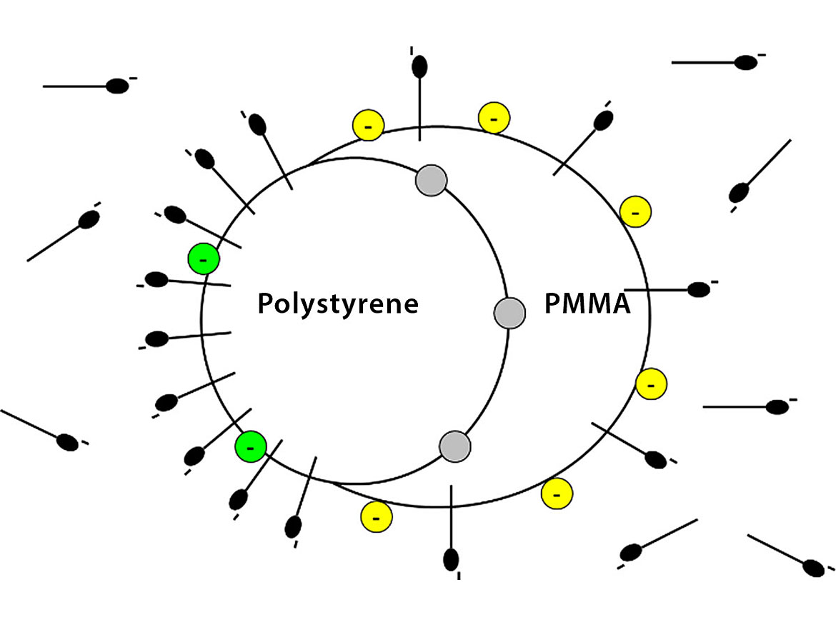由两种极性不同的聚合物组成的复合粒子。