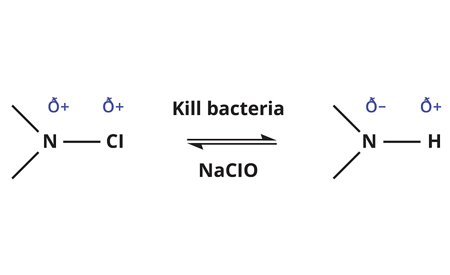 n -卤胺与细菌和次氯酸钠相互作用的反应方案