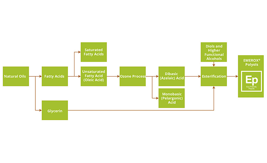 图1»过程流程图,从基于壬二酸的天然植物油多元醇。