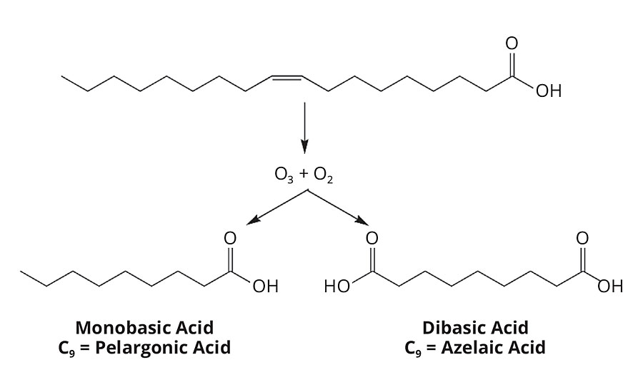 油酸是裂解在未饱和臭氧和氧气,导致壬酸和壬二酸。