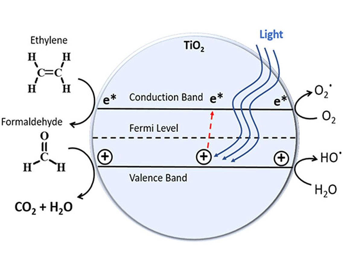 光催化降解机制。