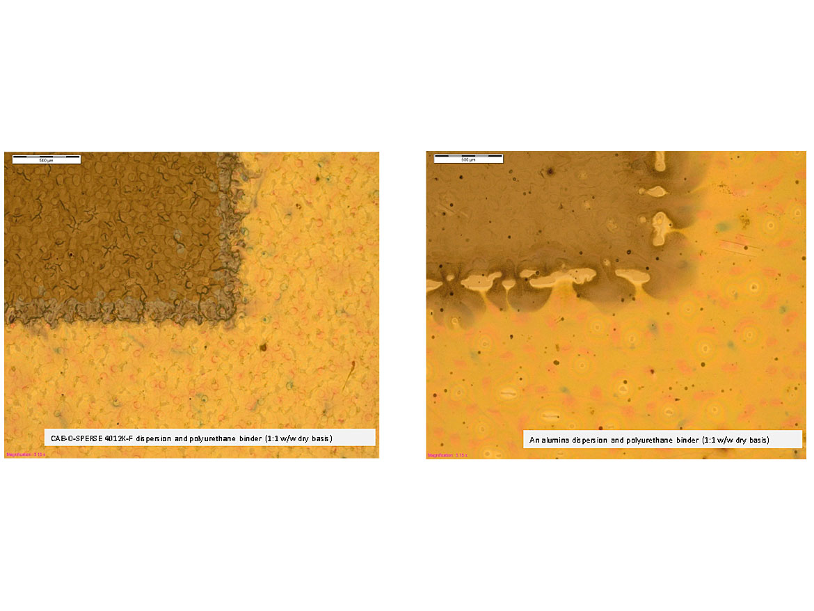 显微镜下黑色至黄色间色出血图像。比例尺为500 μm。